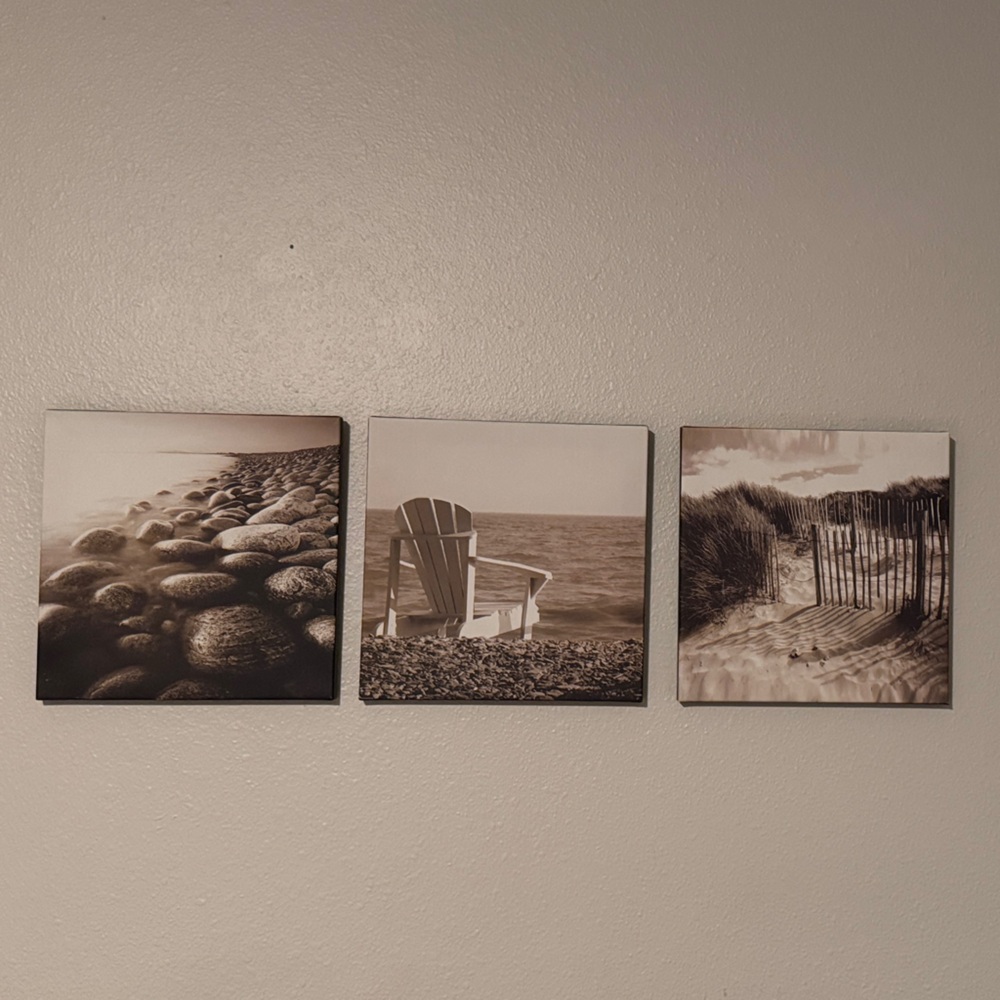 Set of Three Sepia-Toned Canvas Prints